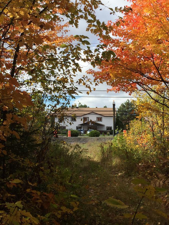 Auberge Motel Drakkar Шавиниган Экстерьер фото
